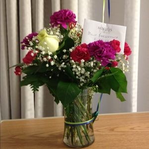 Meet your Posher, Molly